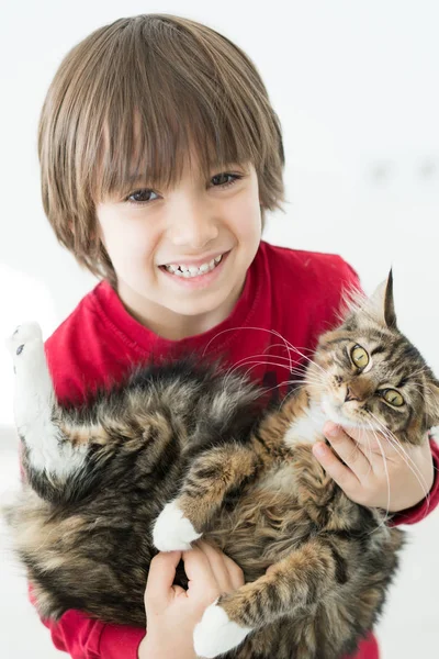 Liten pojke leker med hans katt njuta hemma — Stockfoto