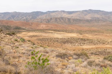 Dağ ve çöl vista günbatımı noktası, Arizona