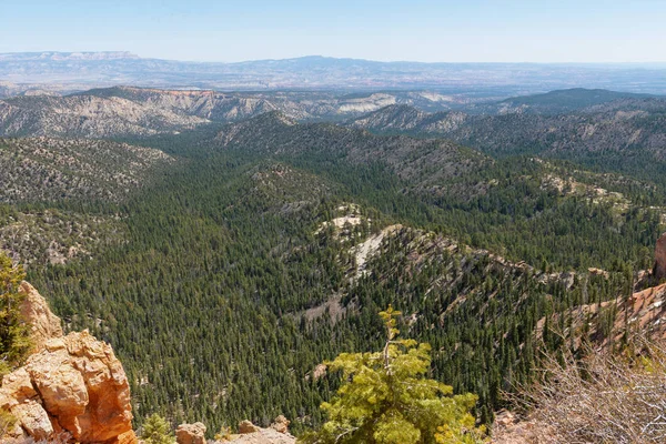 Hoodoos Desde Arco Iris Parque Nacional Bryce Canyon Utah —  Fotos de Stock