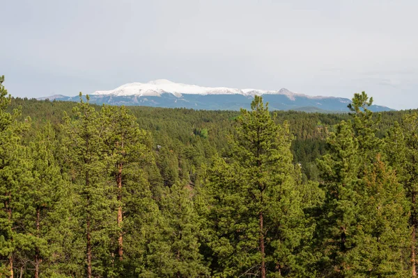 Pike 's Peak e floresta alpina — Fotografia de Stock