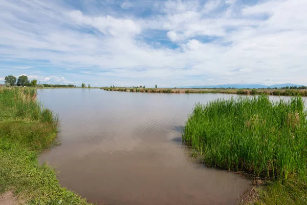 Open ruimte wetlands — Stockfoto