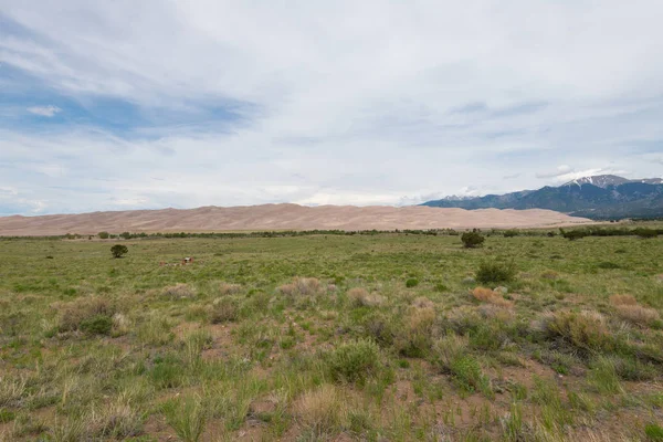 Great Sand Dunes National Park — Stock Photo, Image