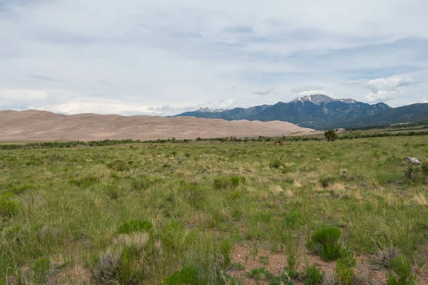 Great Sand Dunes Nationalpark — Stockfoto