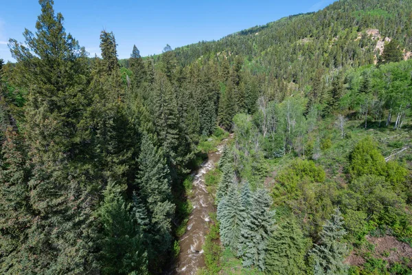 Rushing mountain stream — Stock Photo, Image