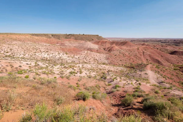 Deserto pintado — Fotografia de Stock