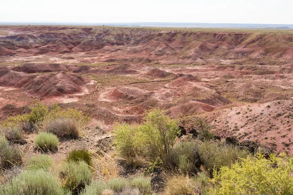 Deserto dipinto — Foto Stock