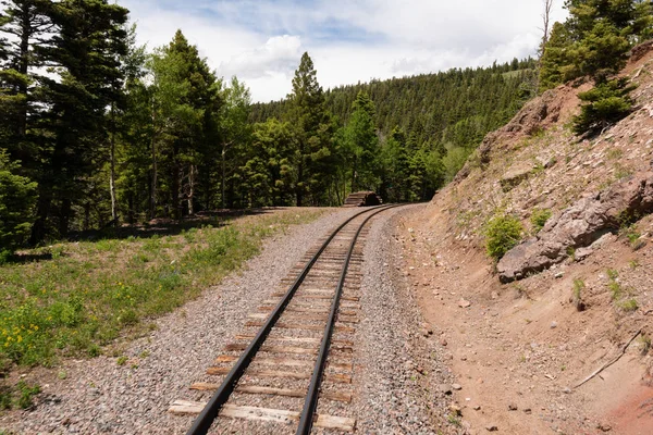 狭軌鉄道 — ストック写真