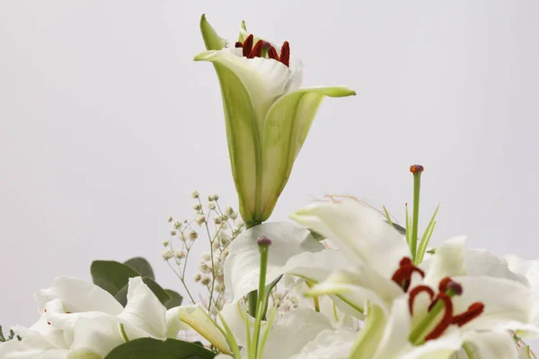 Fond Bouquet Fleurs Lily Sur Gris — Photo