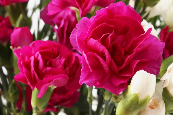 Květinové Kytice Pozadí Červené Bílé Karafiáty — Stock fotografie