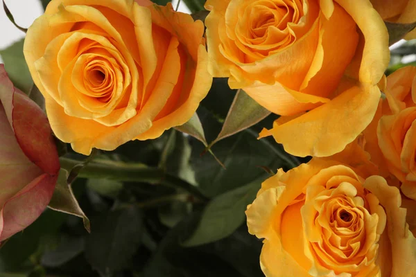 Sfondo Bouquet Fiori Rose Gialle — Foto Stock