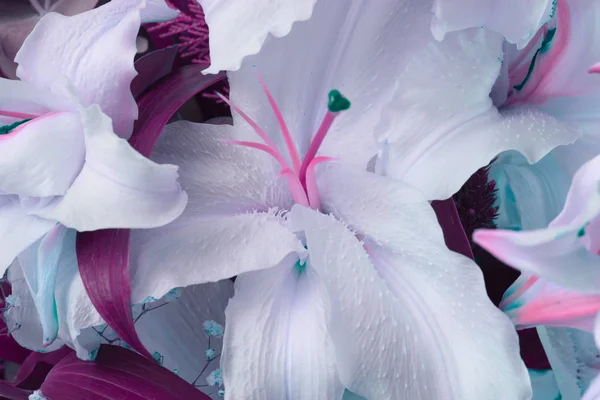 Flower Bouquet Background Lily — Stock Photo, Image