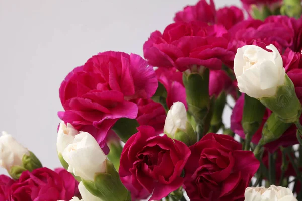 花の花束の背景 赤と白のカーネーション — ストック写真