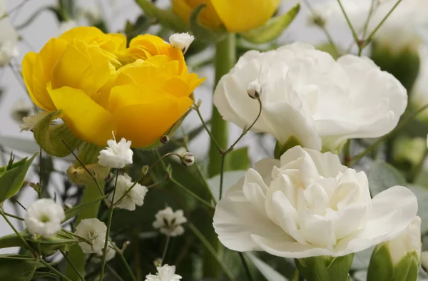 Květinové Kytice Pozadí Karafiáty Sasanky — Stock fotografie