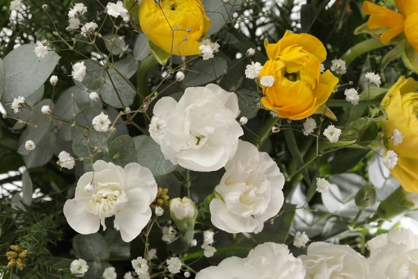 Sfondo Bouquet Fiori Garofani Anemoni — Foto Stock