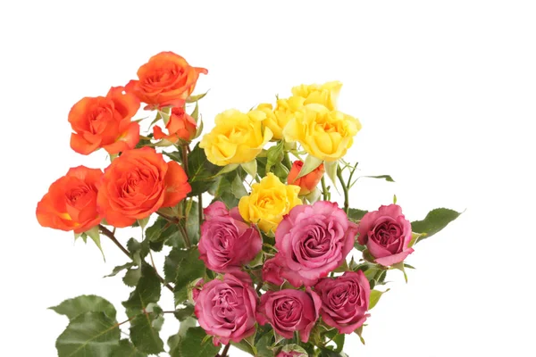 Rose Rosse Gialle Bouquet Fiori Sfondo Bianco Isolato — Foto Stock