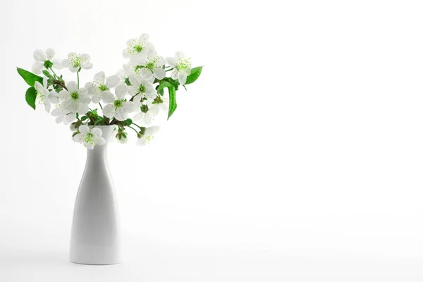 Galho de cereja em flor em vaso — Fotografia de Stock