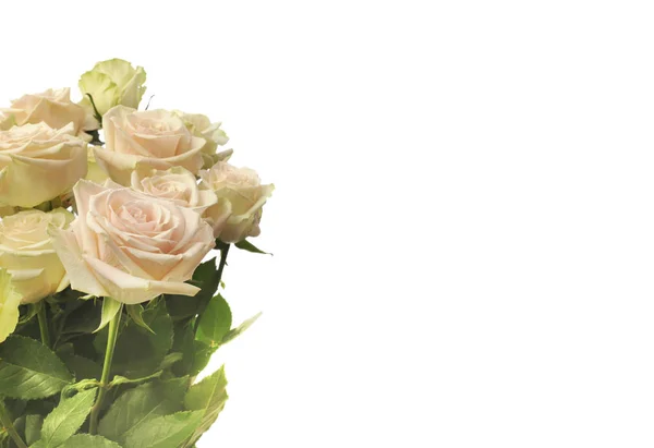 Rose Blume Strauß Hintergrund. — Stockfoto