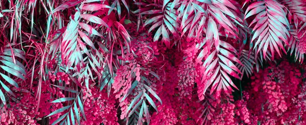 Parete Con Piante Tropicali Natura Sfondo Rosso — Foto Stock