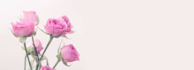 Gül buketi. Eski usul. Yatay uzun posterler, tebrik kartları, web sitesi, afiş, davetiye.