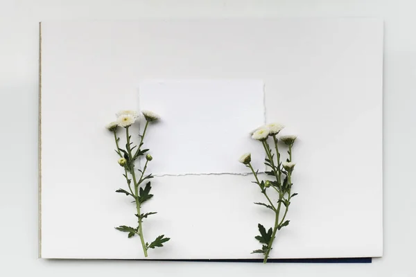 白い質感の背景に花と紙のカードフレーム 平置きだ 空のカード — ストック写真