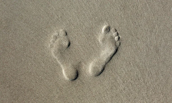 Kumda insan ayak izi. Doğa arkaplanı. 
