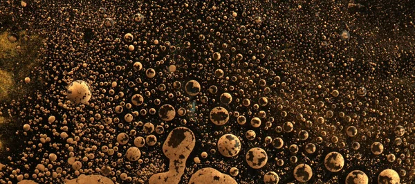 Makro Czarny Złoty Streszczenie Bańki Kropli Tekstury Tła Kolor Akrylowy — Zdjęcie stockowe