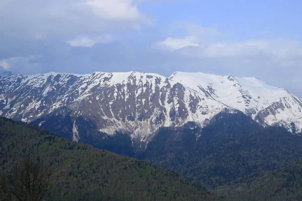Mayıs ayında Soçi'de Kafkas Dağları'nın karla kaplı zirveleri