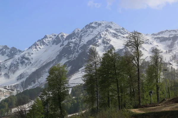 Besneeuwde Toppen Van Het Kaukasus Gebergte Sotsji Mei — Stockfoto