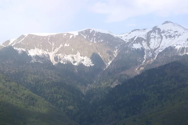 Mayıs ayında Soçi'de Kafkas Dağları'nın karla kaplı zirveleri