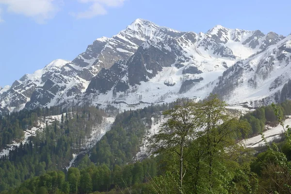 Mayıs ayında Soçi'deki Kafkas Dağları'nın bulutlu ve karla kaplı zirveleri