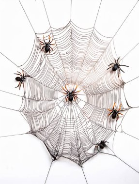 Cadılar Bayramı Ağı. Siyah örümcek ve örümcekler.