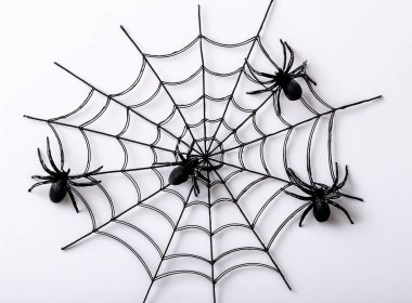 Siyah örümcek ağı beyaz arka planda izole edilmiş. Cadılar Bayramı konsepti.