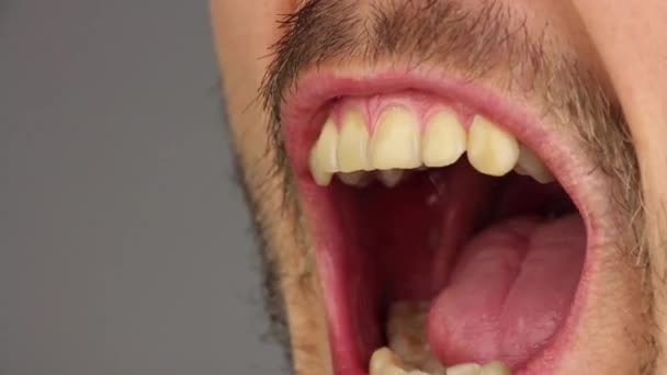 Αρσενικό Στόμα Σφίγγει Του Δόντια Πλάγια Όψη Closeup Μακροεντολής — Αρχείο Βίντεο