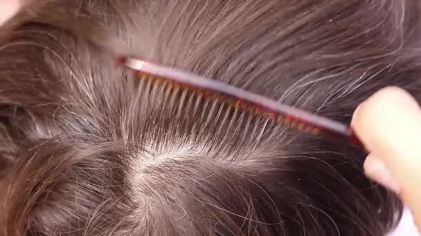 Cabeleireiro Penteia Cabelo Humano Com Pente Vista Superior Macro Close — Vídeo de Stock