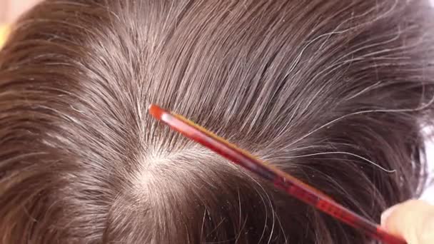 Pettina Capelli Parrucchiere Umano Seleziona Singoli Capelli Grigi Taglia Con — Video Stock