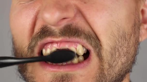 Man Met Baard Snor Grondig Borstels Zijn Tanden Met Zwarte — Stockvideo