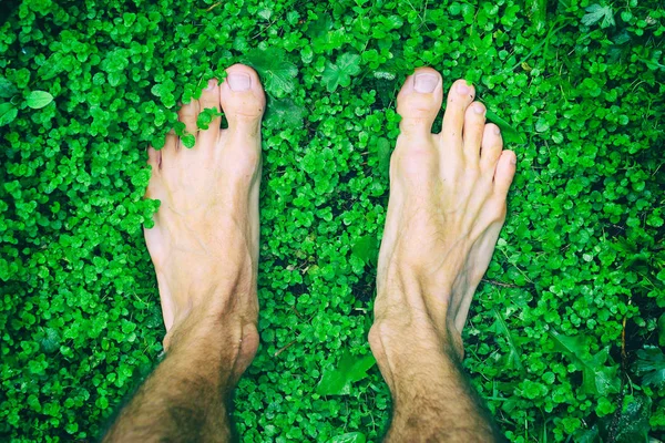 bare man feet stands on green grass, charged with power from earth, top view, with effect of juicy green