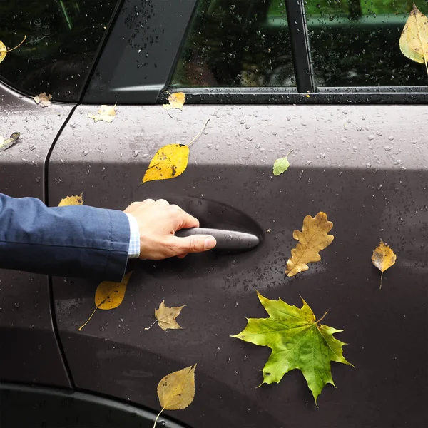 Hand Man Holds Car Door Handle Yellow Autumn Foliage Water — Stock Photo, Image