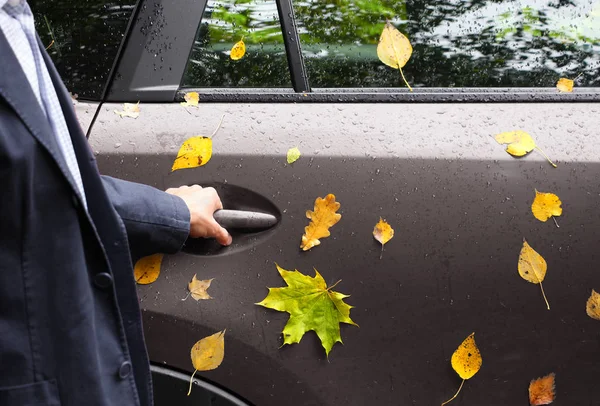 Man Suit Holds Back Car Door Handle Yellow Autumn Foliage — Stock Photo, Image