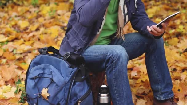 男子博客坐在森林的树桩 喝热茶或咖啡 并在平板电脑上工作 背包靠近他 在秋天的树叶背景 全景相机运动 — 图库视频影像