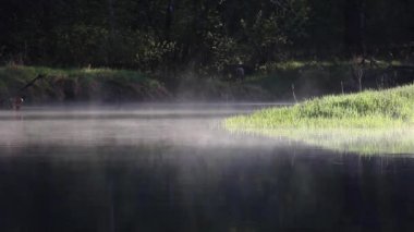 su üzerinde sis hareket eder, yaz sabah erken saatlerde, Rusya, Polya nehri üzerinde duman