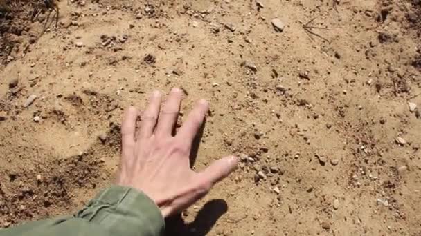 Menschliche Hand Nimmt Eine Probe Des Bodens Der Erde Sandboden — Stockvideo