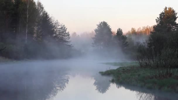 White Fog Rises River Early Morning Birdsong Russia River Polya — 비디오