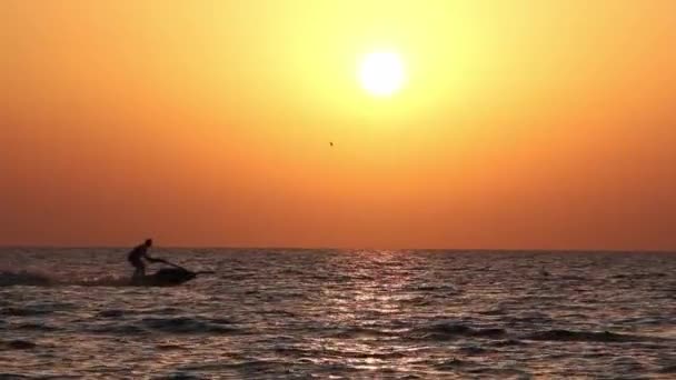 Силуэт Водного Лыжника Птицы Море Закате Движется Слева Направо — стоковое видео