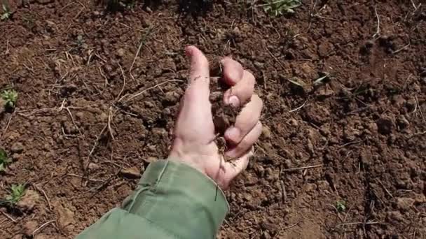 Mano Humana Toma Una Muestra Del Suelo Tierra Tierra Arcillosa — Vídeos de Stock