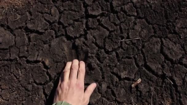 Mão Humana Tira Uma Amostra Solo Negro Terra Seca — Vídeo de Stock