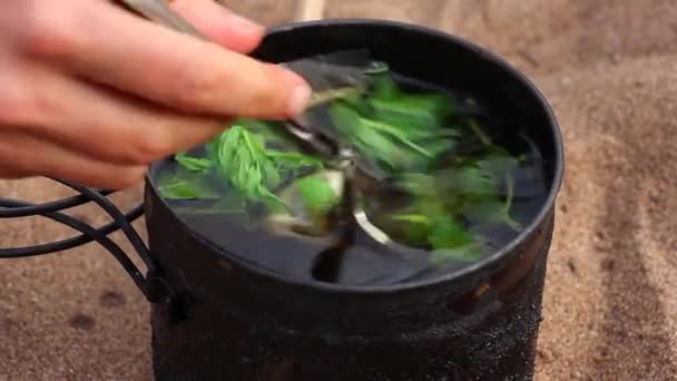Human Mixes Fresh Mint Tea Cover Lid Camping Wildlife — Stock Video