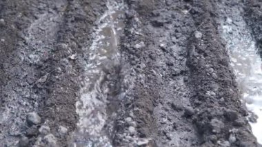 bahçede tohum dikmek için toprak hazırlanması, fide ile toprak sulama, Chernozem veya siyah toprak nemlendirme, bahar çiftlik işleri, zemin yakın çekim