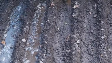 bahçede tohum dikim için bahçe hazırlık, tohum, çernozem veya siyah toprak, bahar çiftlik işleri, zemin yakın çekim için sulama oluklar veya yatak