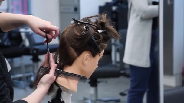 Начинающий Парикмахер Практикует Новые Навыки Голове Манекена Имитирует Обрезку Волос — стоковое видео